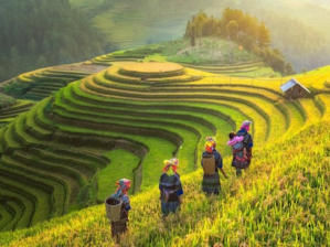 sapa-GettyImages-622497870